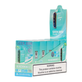 Geek Bar Black Mintz 5 Pack