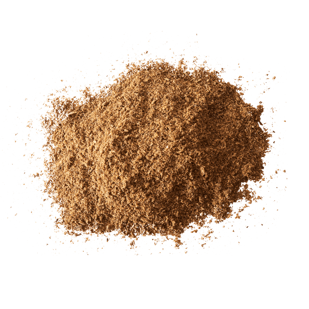 CARNE SECA - MACHACA - JERKY CHEW