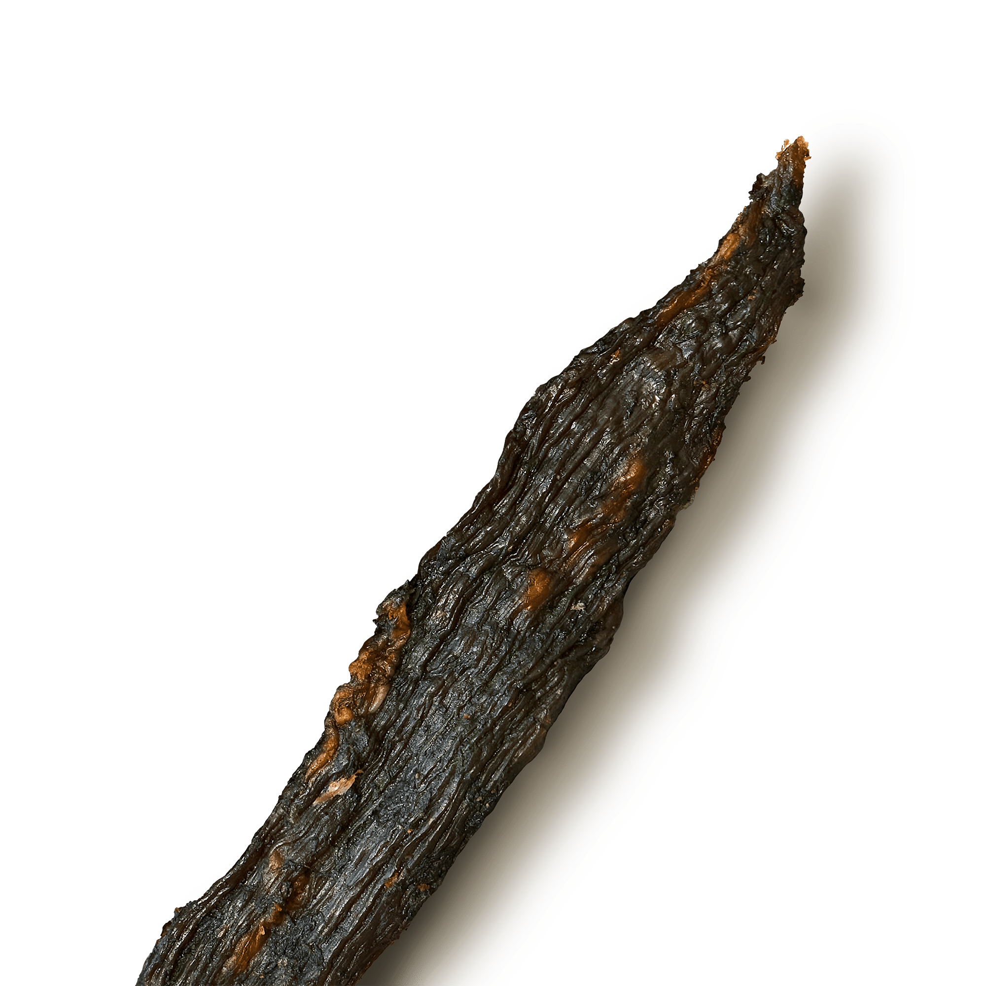 TEST KITCHEN - DILL PICKLE BEEF JERKY